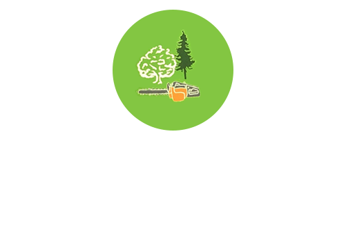 Logo EST Gillard